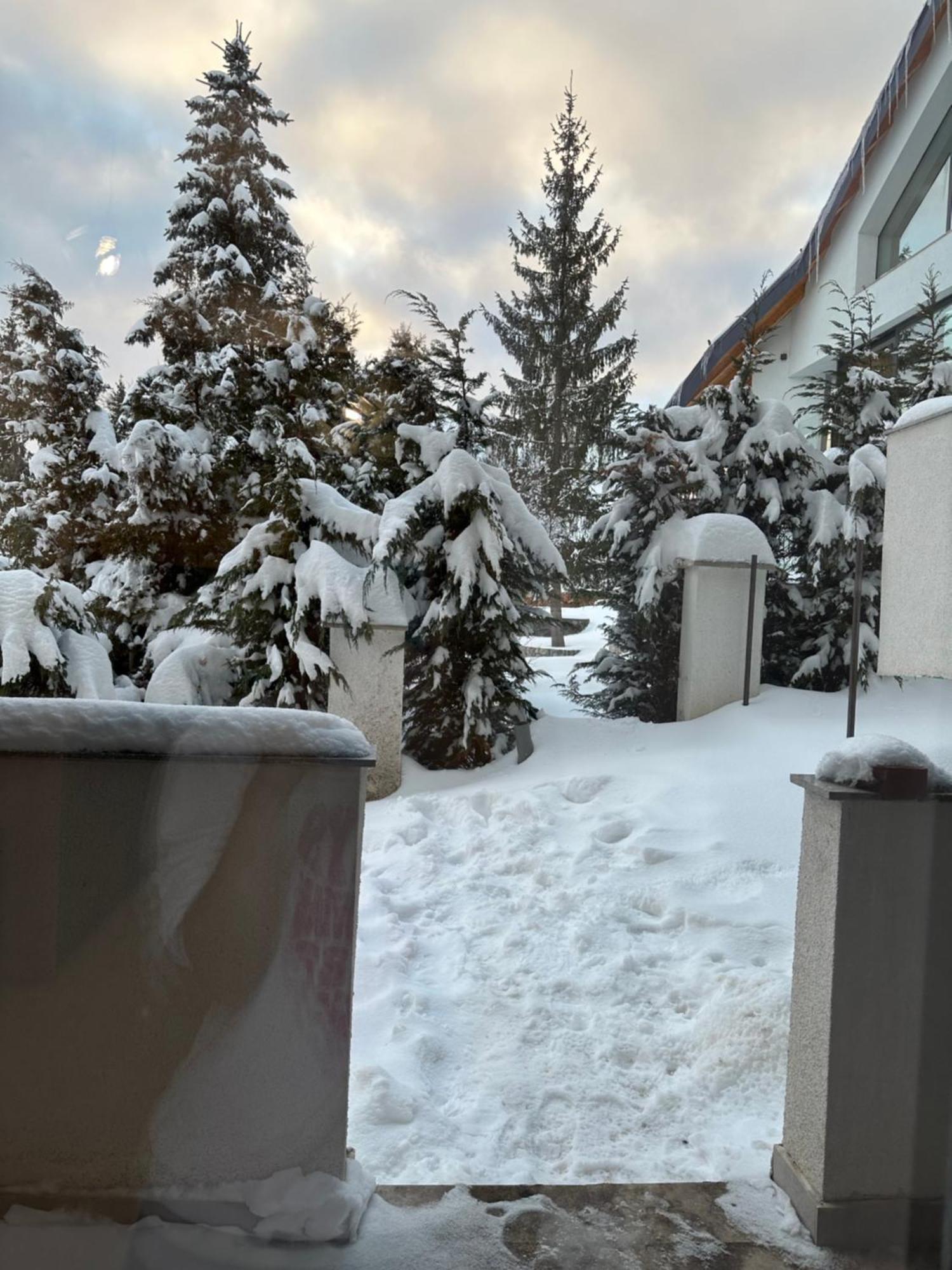Apartament Bonton Predeal Esterno foto
